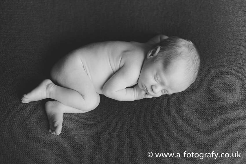 Livingston newborn photographer