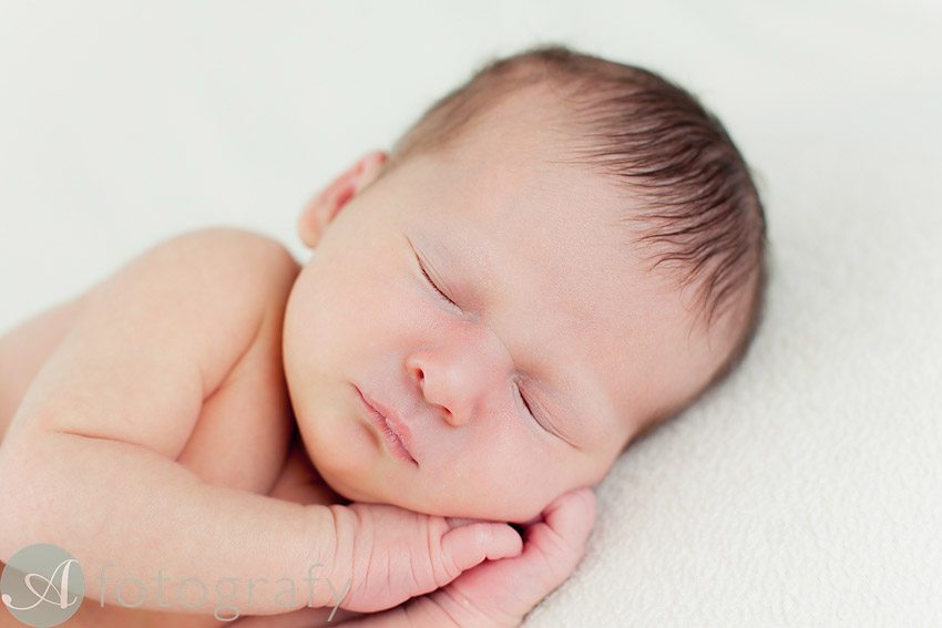 midlothian newborn photography-001