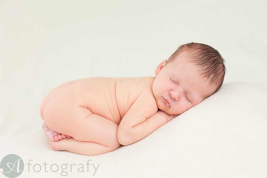 midlothian newborn photography-003