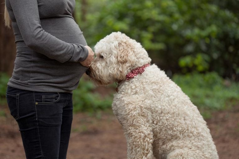 7 Outdoor maternity photoshoot planning tips. 31
