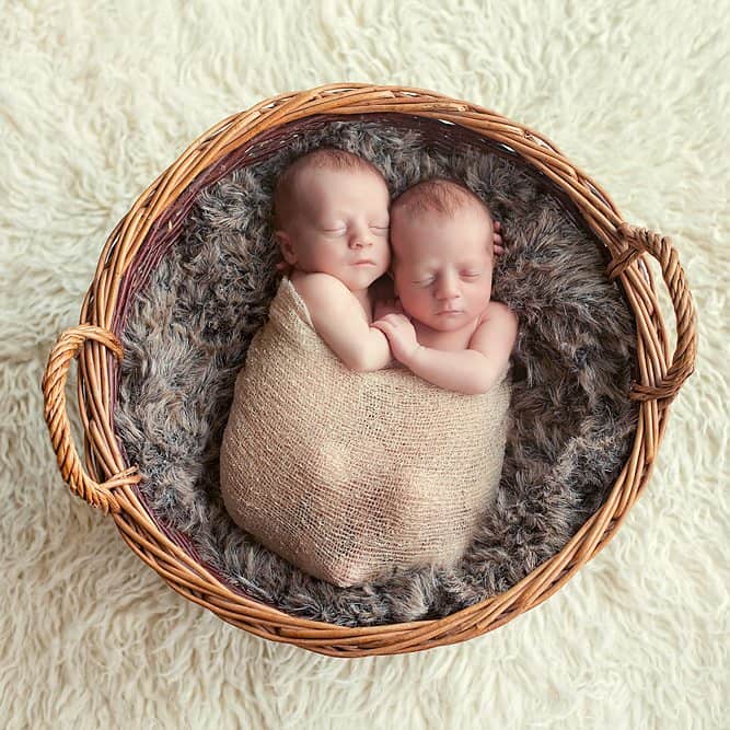 Edinburgh twins newborn pictures