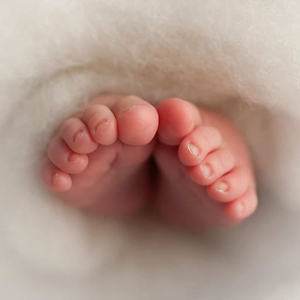Newborn toes portrait wrapped in light wool