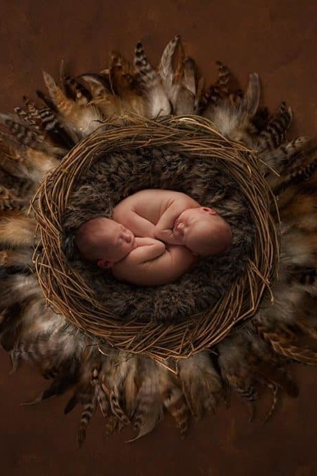 newborn twins in nest on luisa dunn digital background