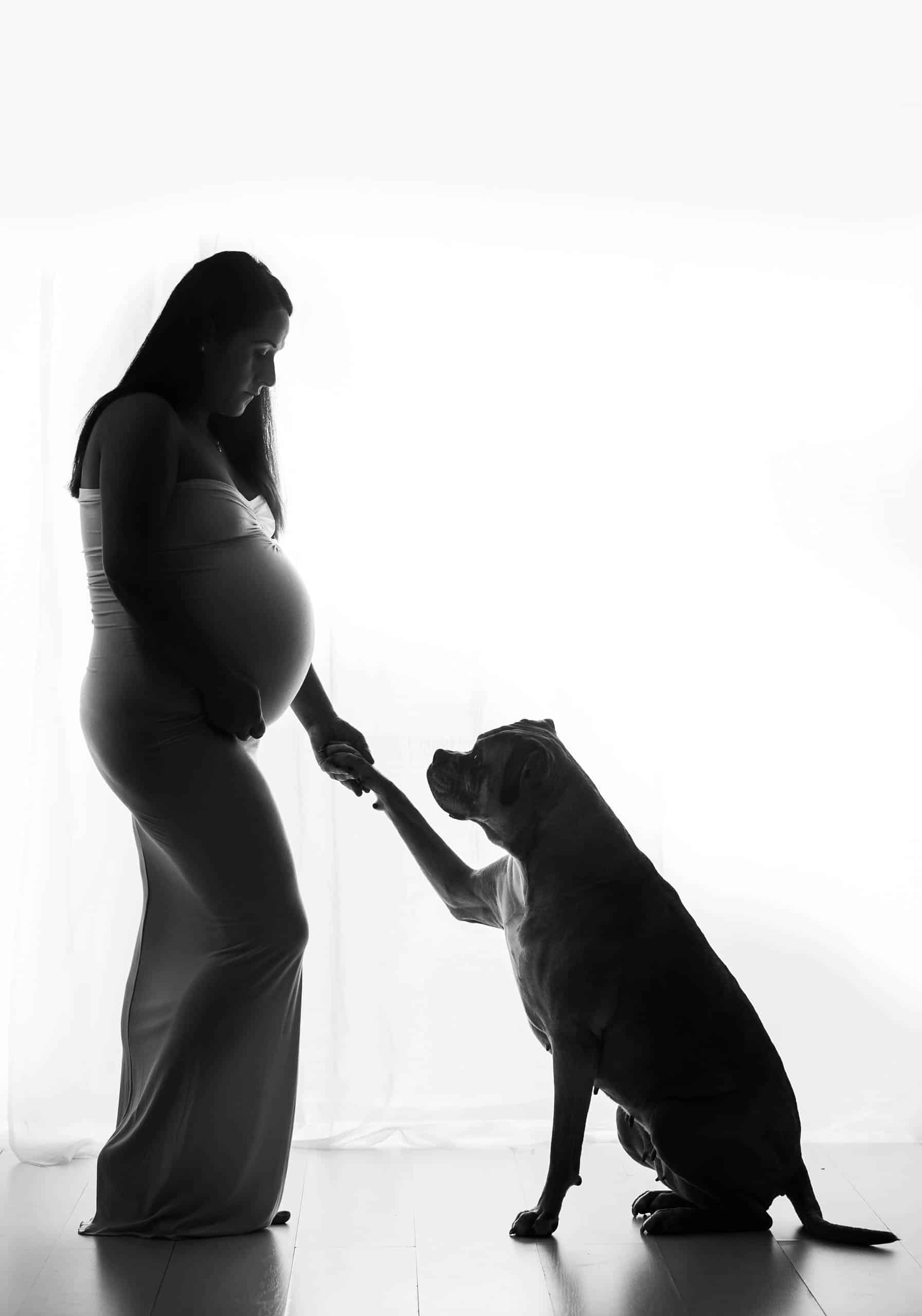 maternity photography with dog