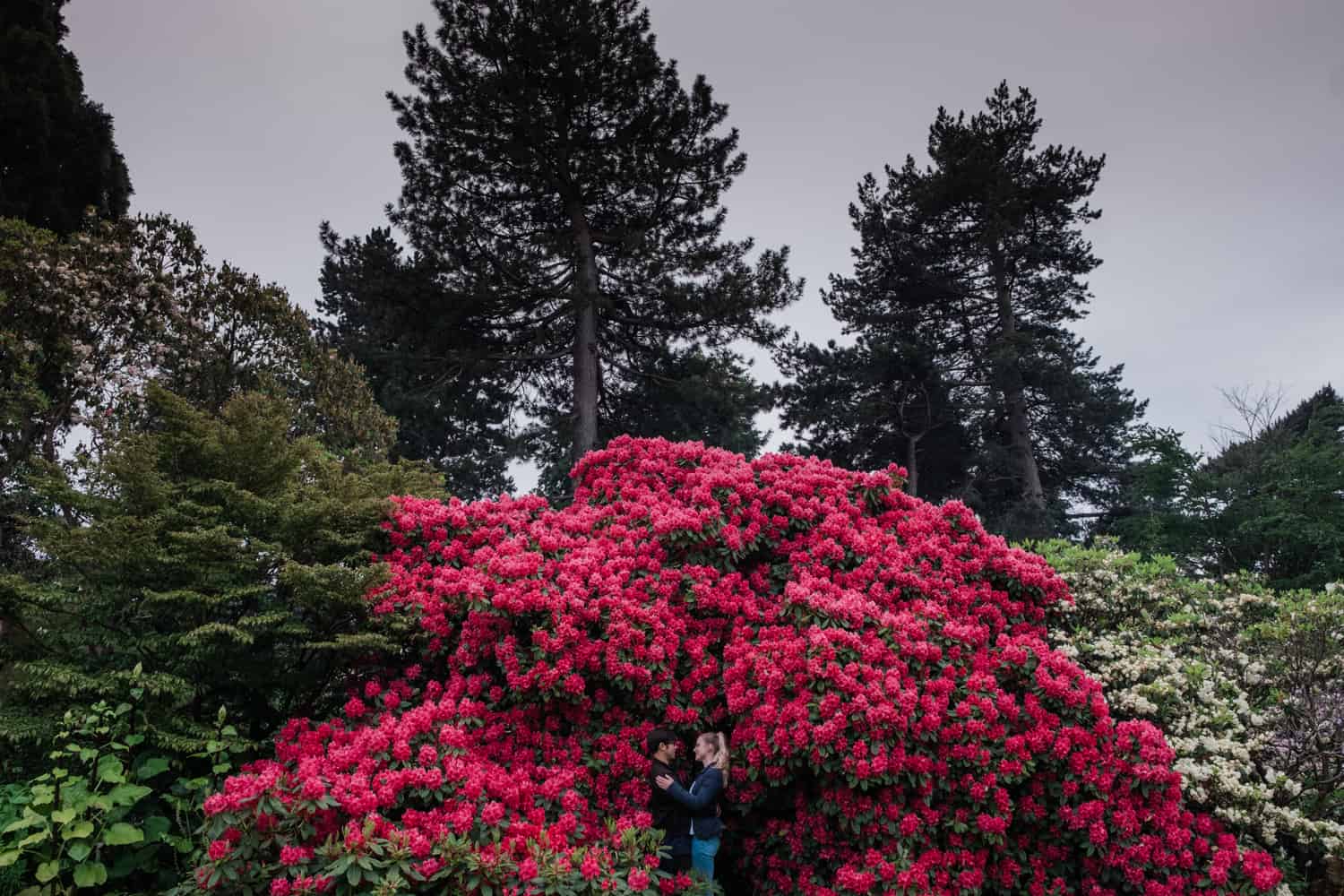 Edinburgh botanic gardens one of the romantic places in edinburgh to propose