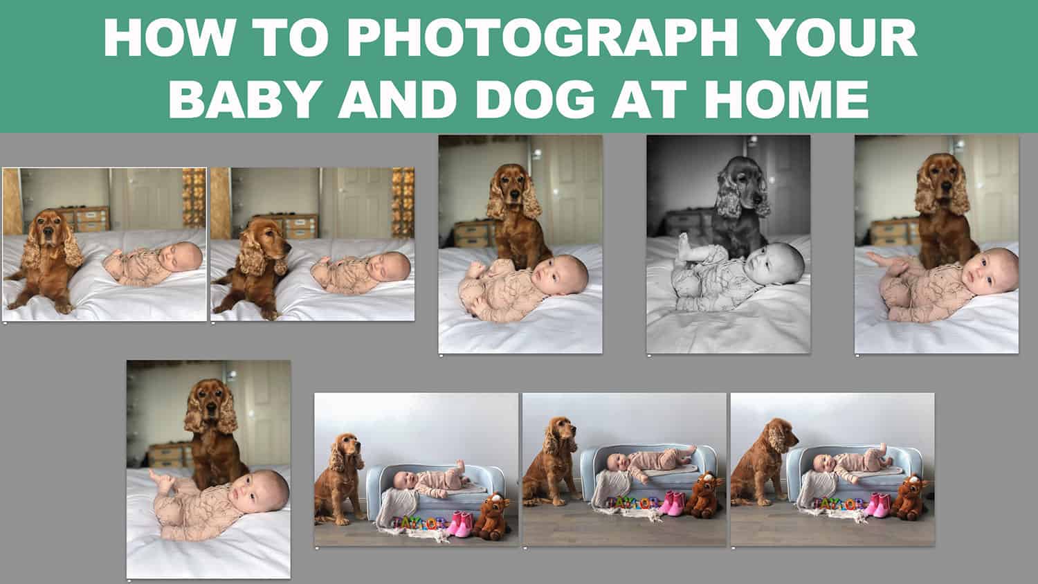 Do it yourself newborn baby and dog photos at home with your phone