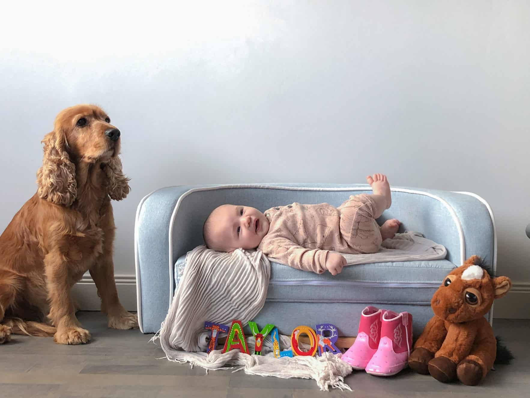 diy baby and dog newborn photography tutorial
