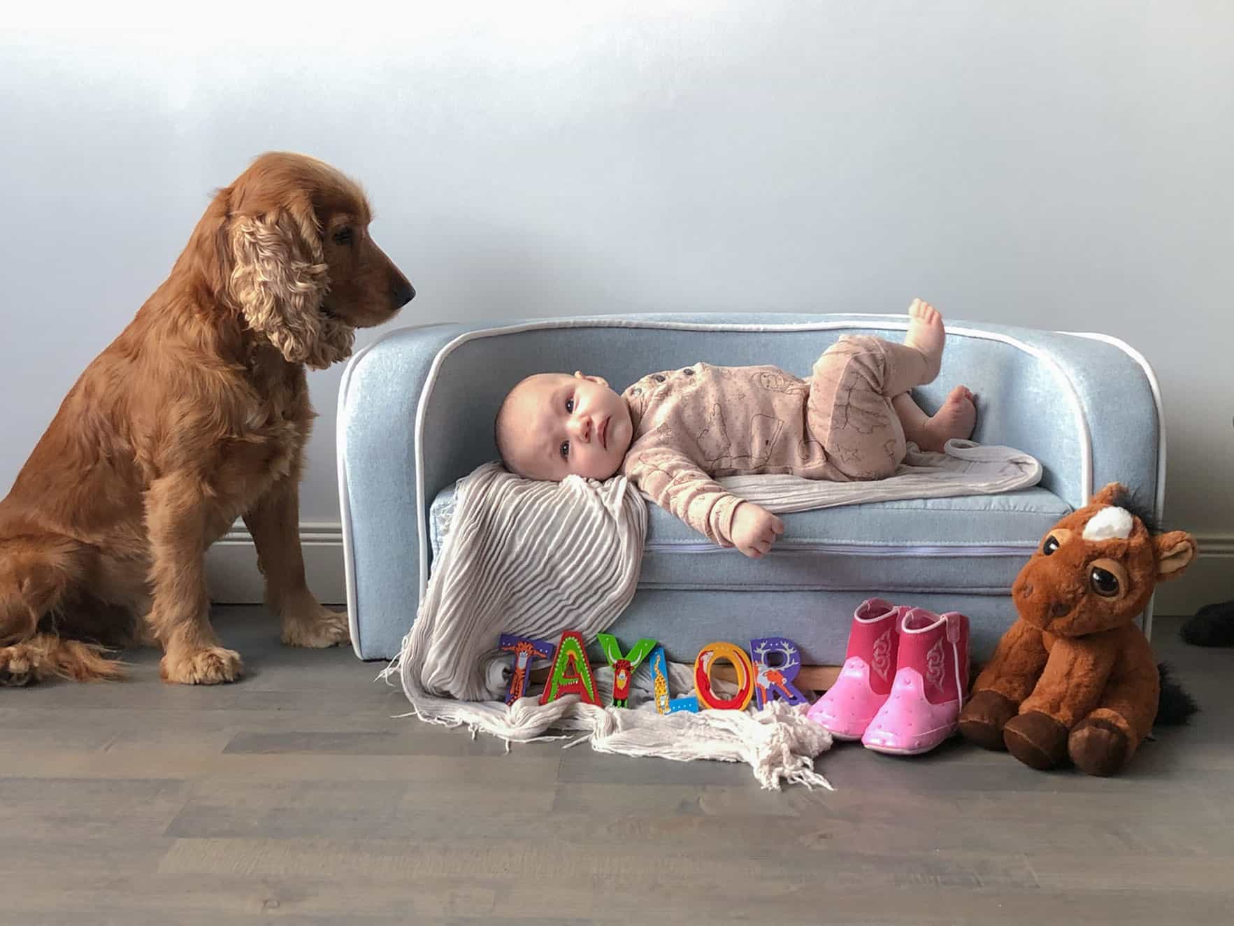 diy-at-home-dog-and-baby-photography-photos-005 22