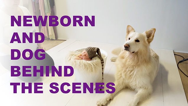 Newborn photography with dog 5