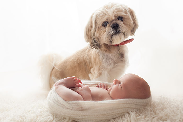 newborn photos with dog