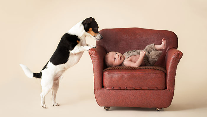 newborn photos with dog