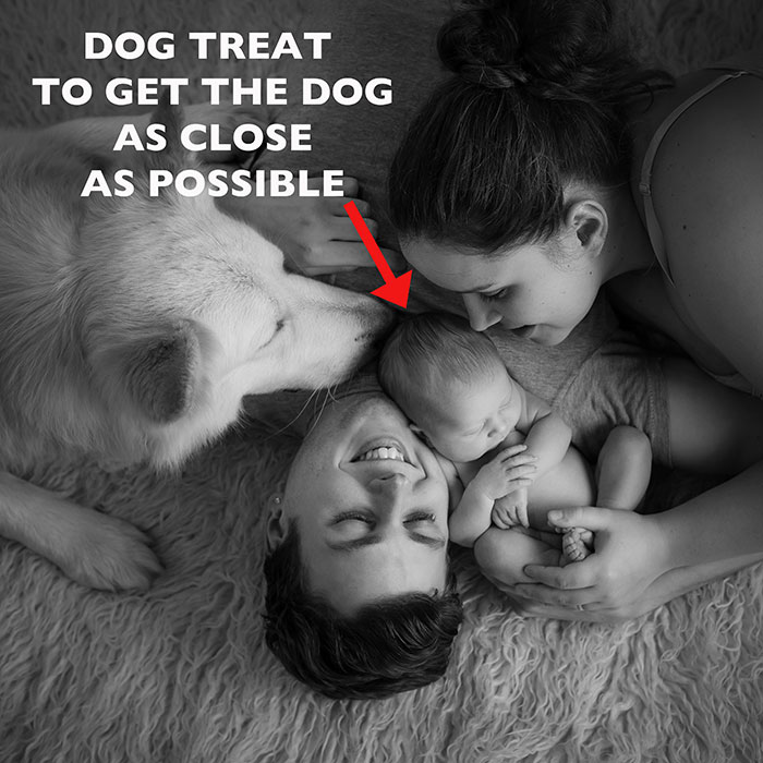 Newborn Baby and Dog Photography Guide 7