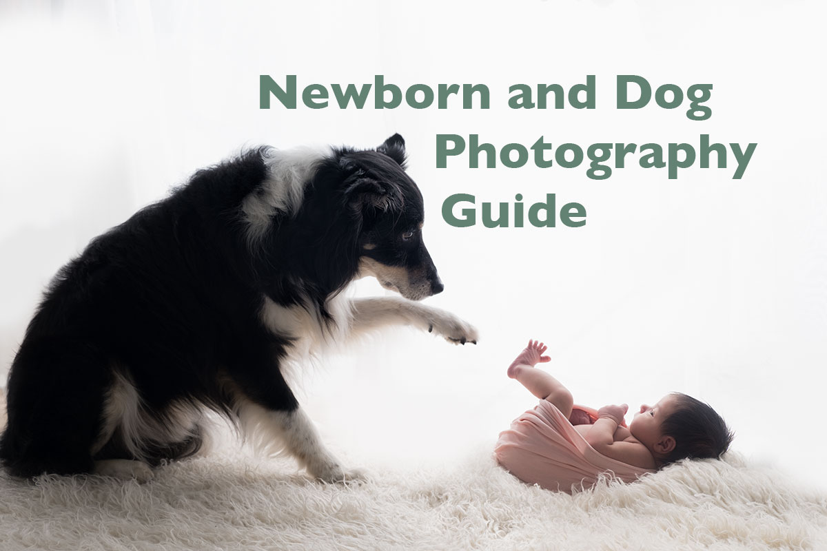 Newborn baby and dog photography guide for photographers and parents