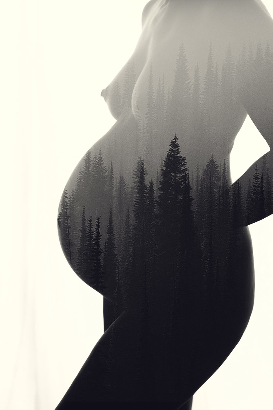 Fine art and Nude artistic pregnancy photos 4
