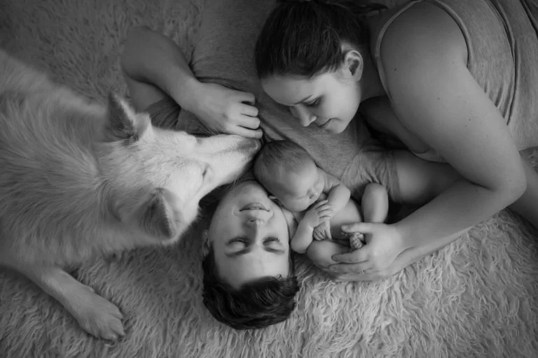 Newborn family photos with siblings and dogs. 19