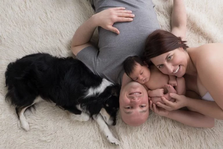 Newborn family photos with siblings and dogs. 20