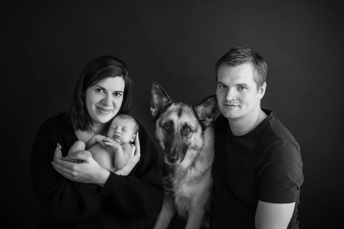 Newborn family photos with siblings and dogs. 16