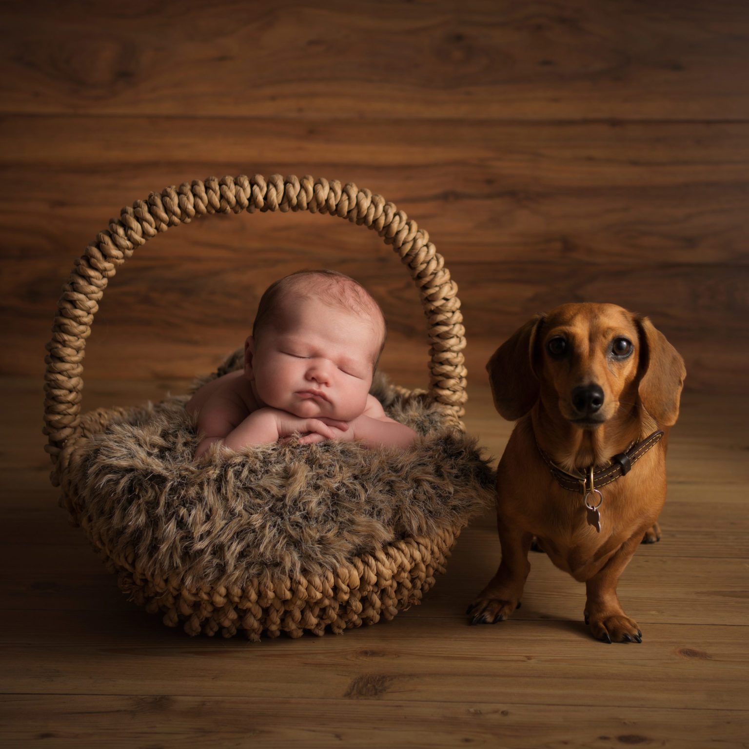 dog with newborn baby in Edinburgh studio