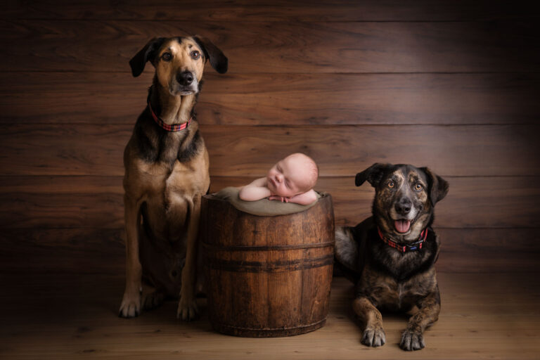 dogs and newborn baby photoshoot in Edinburgh